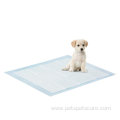 Pet Training Pads Large 50-Count